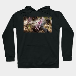 Hyacinth Orchids - Magpie Springs - Adelaide Hills - Fleurieu Peninsula - South Australia Hoodie